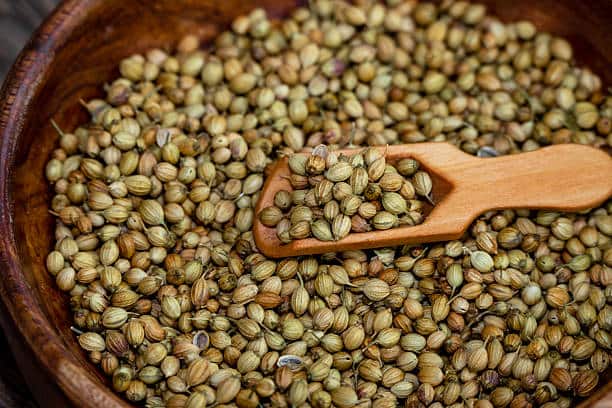 تصویر 2 از فروش تخم گشنیز خوب + قیمت خرید به صرفه
